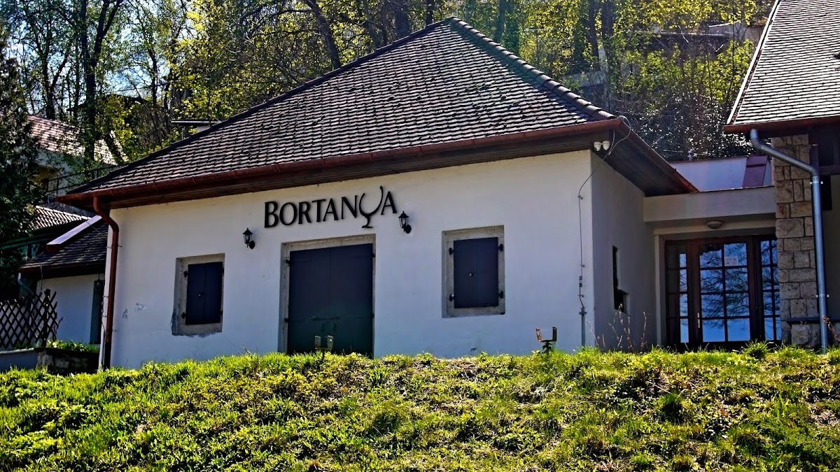 Avasi Borház