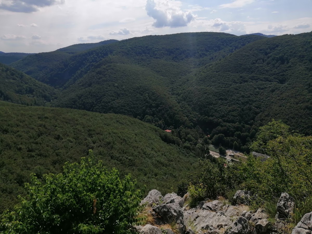 Fehérkőlápa