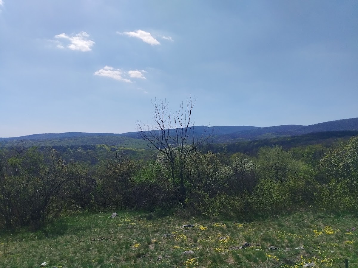 Galya-tető