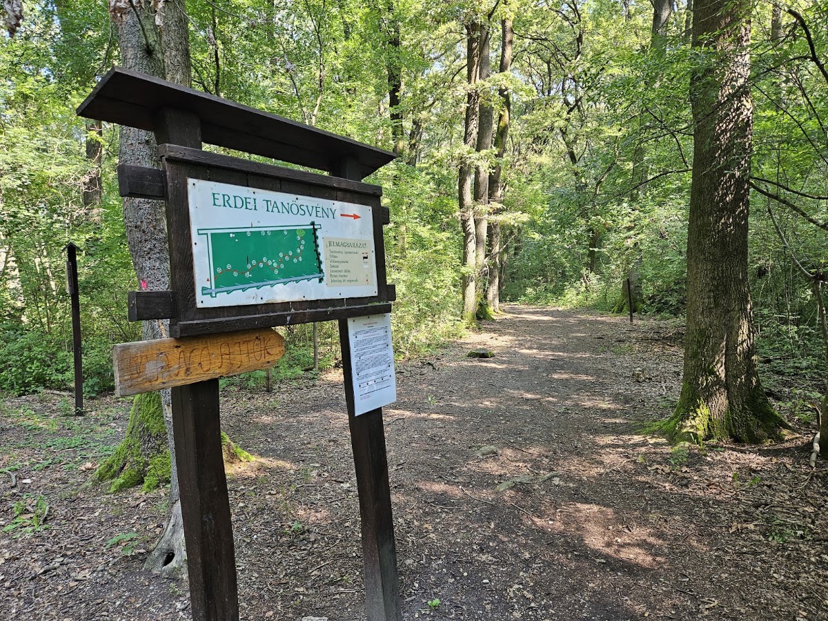 Győri Püspökerdei Tanösvény