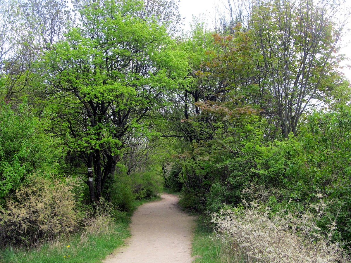 Hiking way