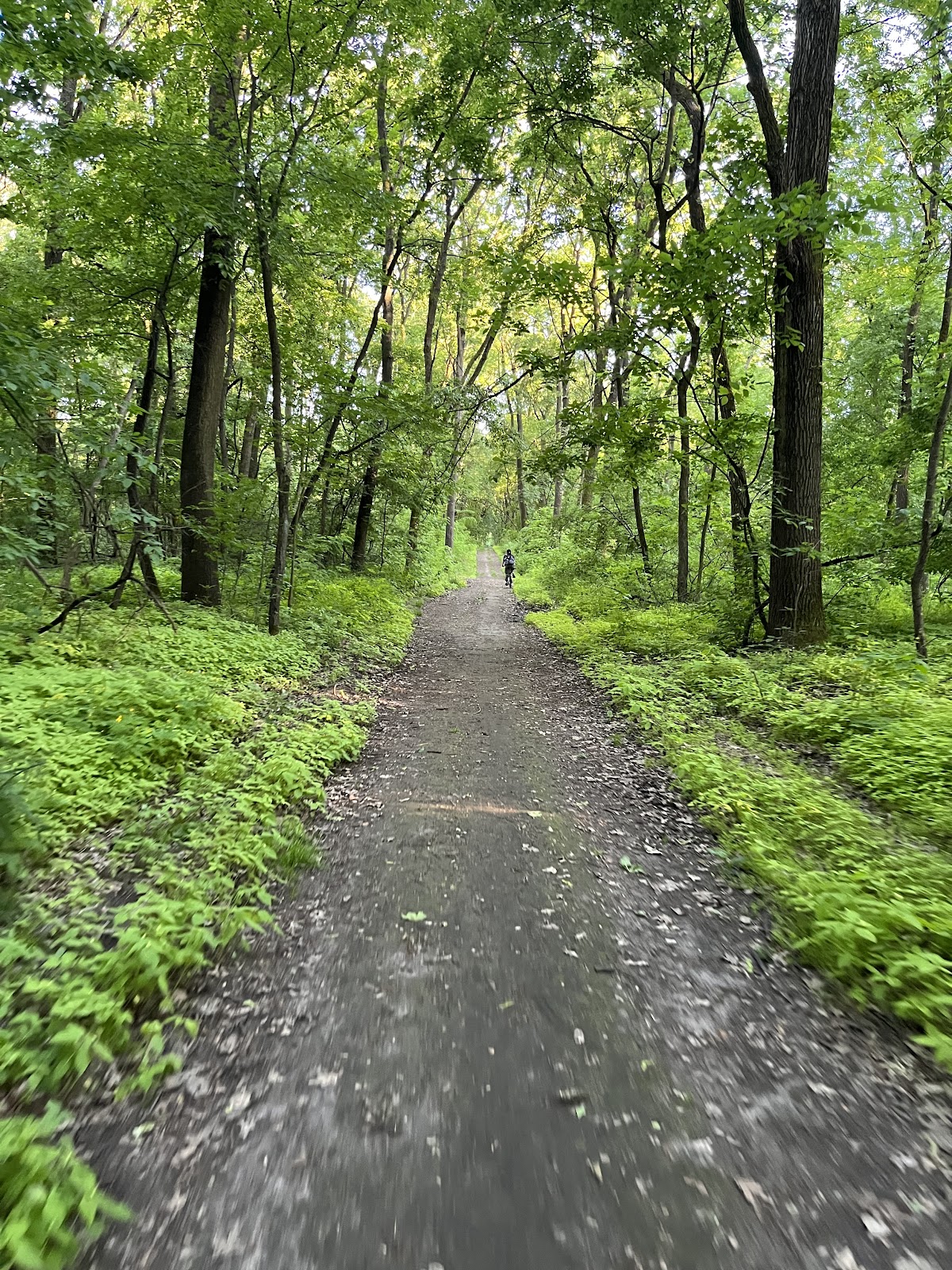 Path to Pallag