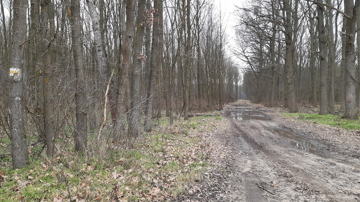 S. turistajel (sárga), Kartács u.