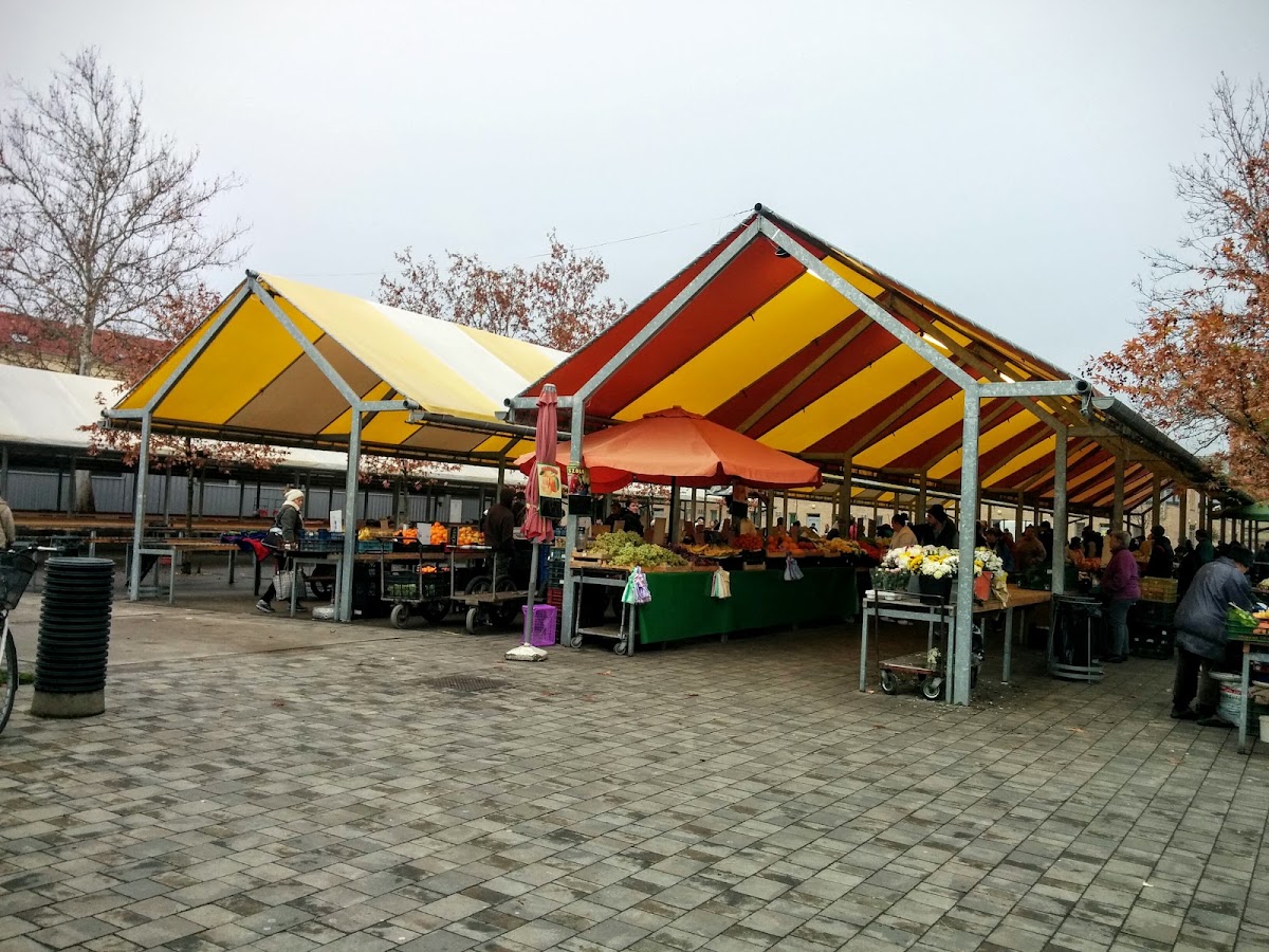 Szegedi Fair and Market Operator Ltd.