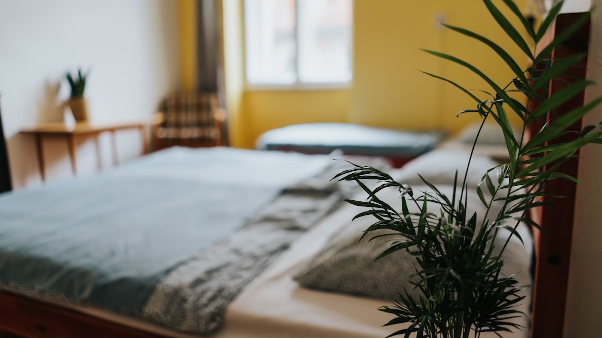 Nap Hostel