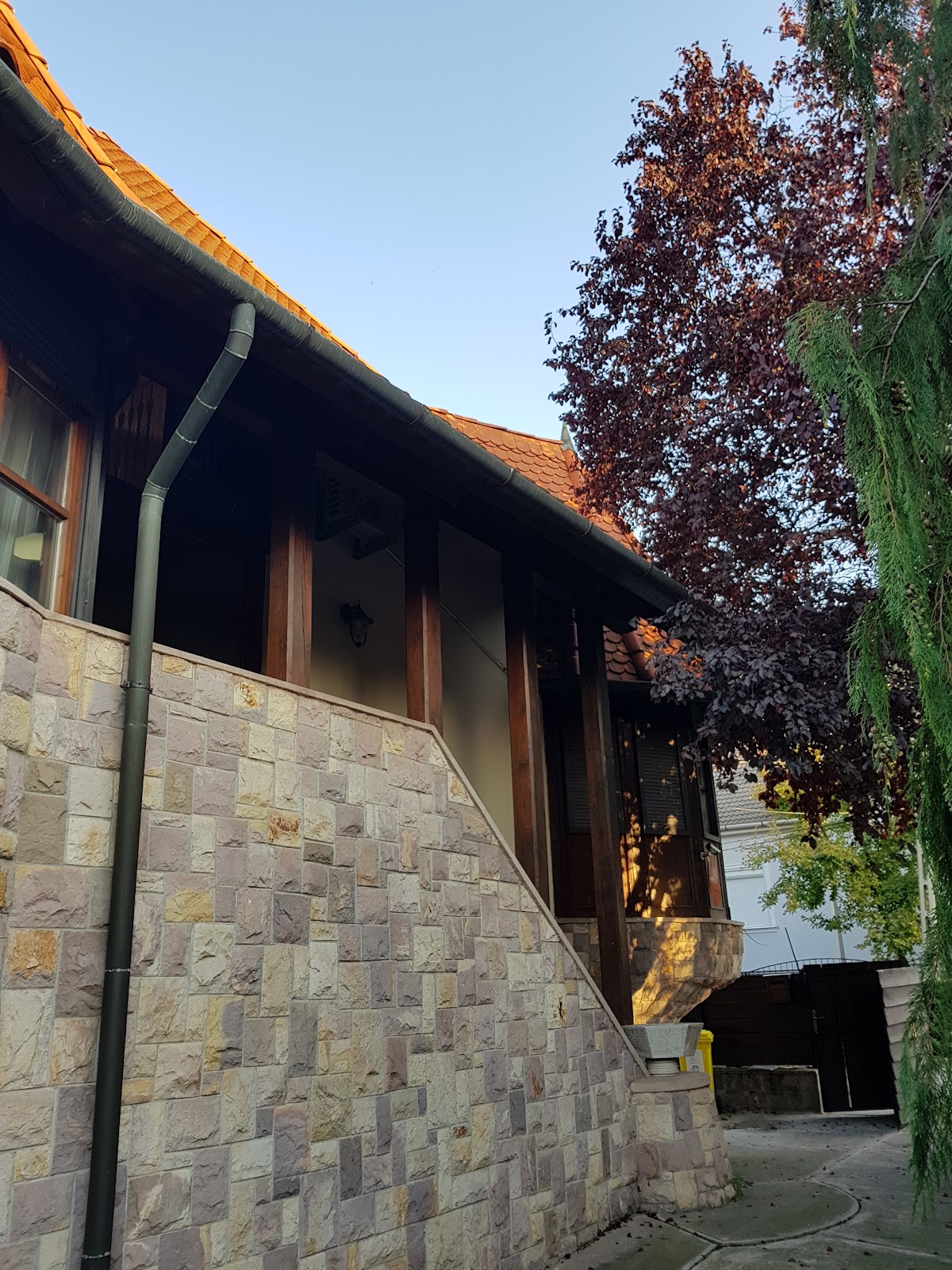 Tulip Guesthouse