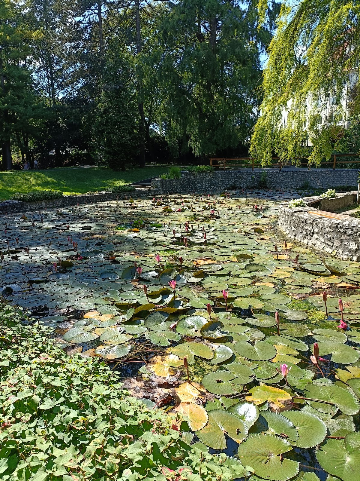 Miskolctapolca Spa and Fitness