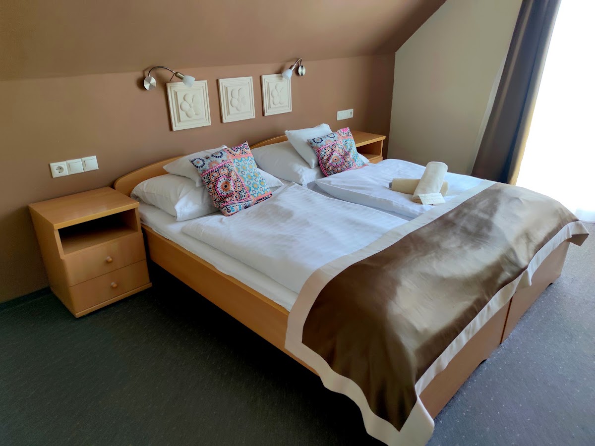Alfa Hotel and Wellness Center