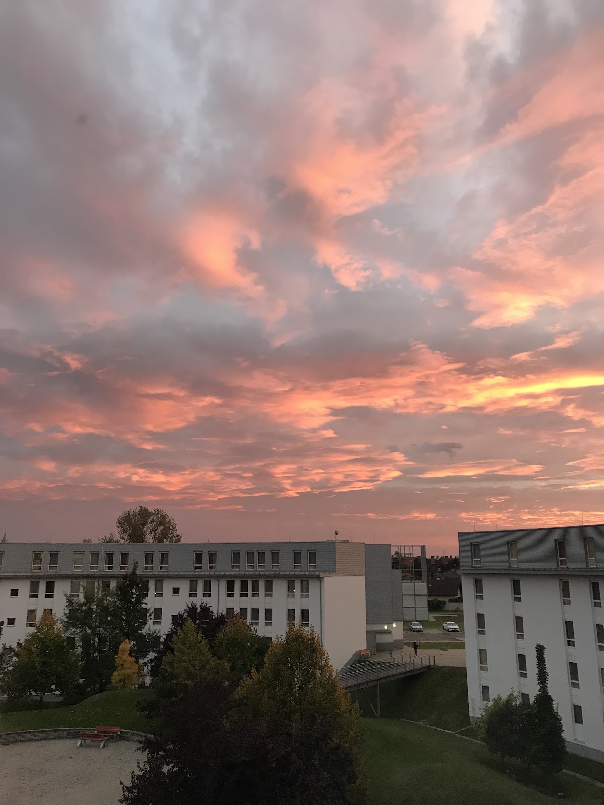 Campus Hotel