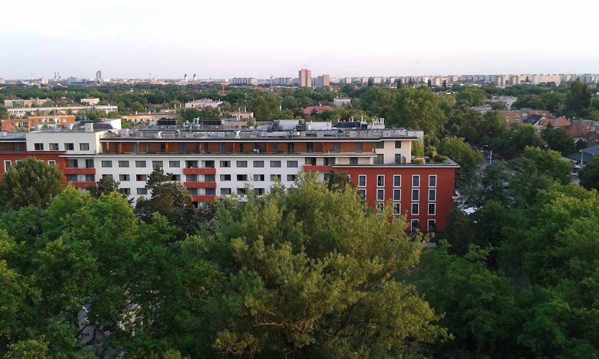 Hotel Grand Forest