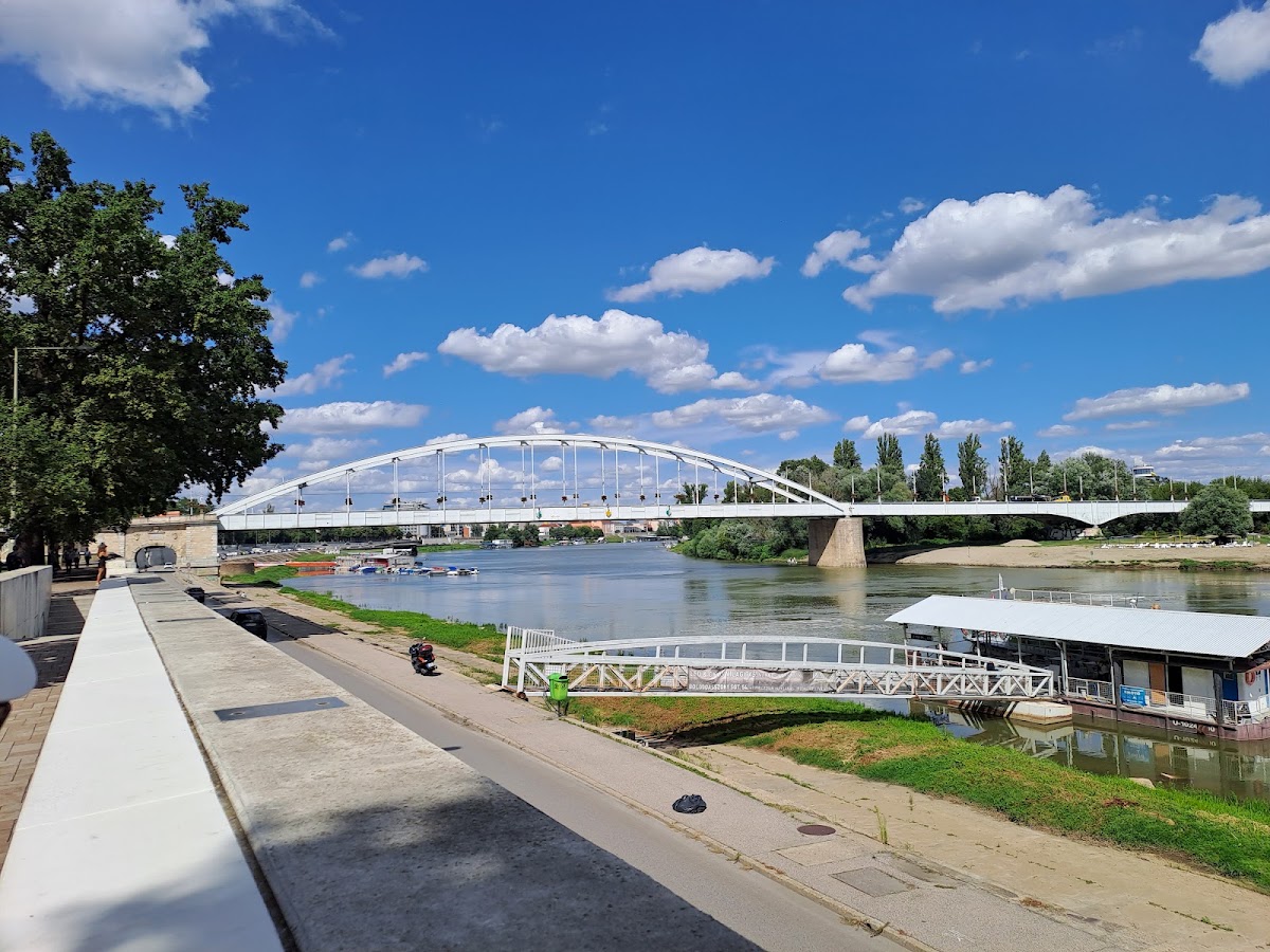 RIVA Szeged****