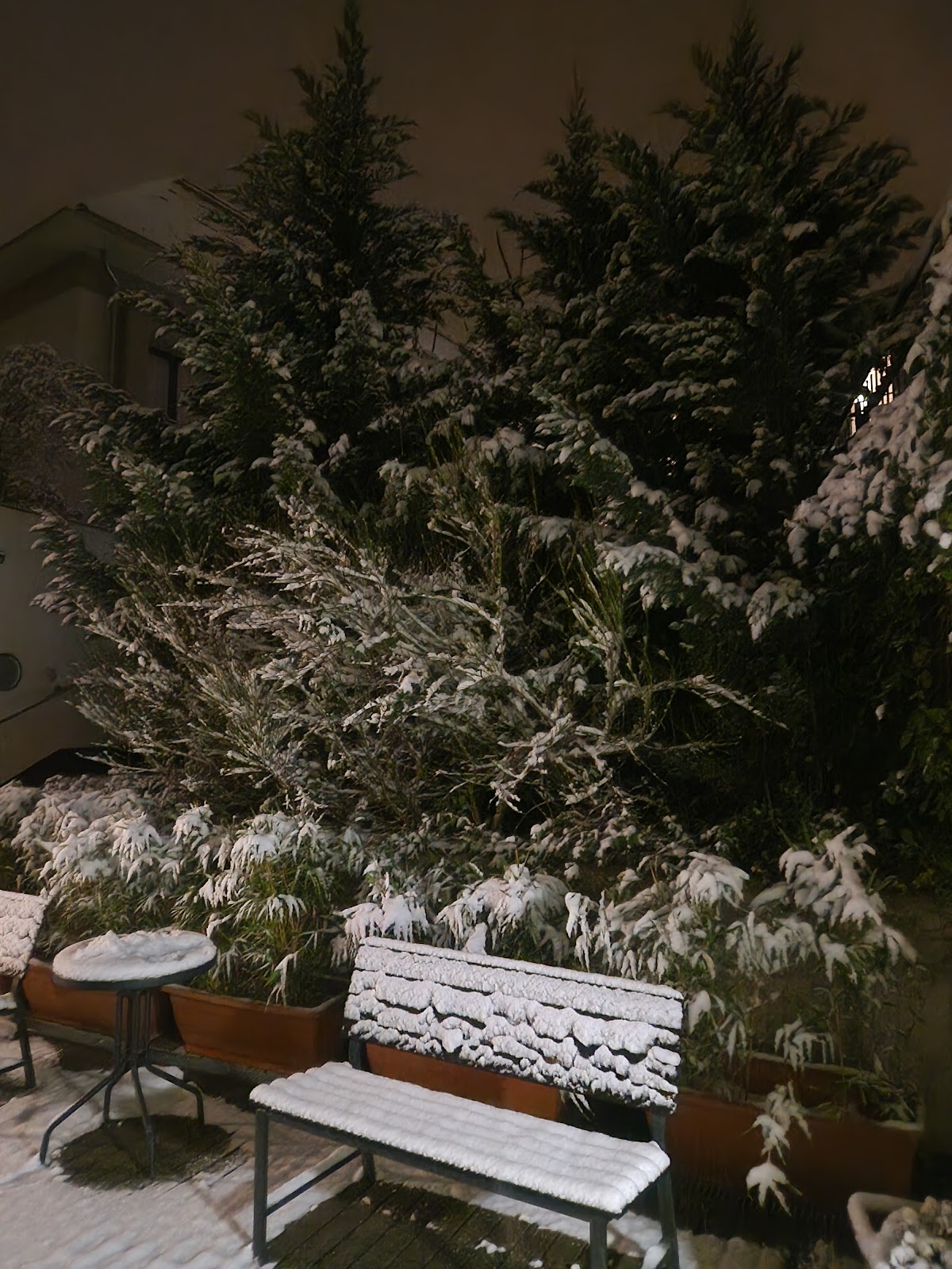 Fibula Residence Hotel & Wellness