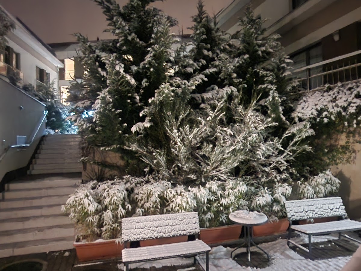 Fibula Residence Hotel & Wellness