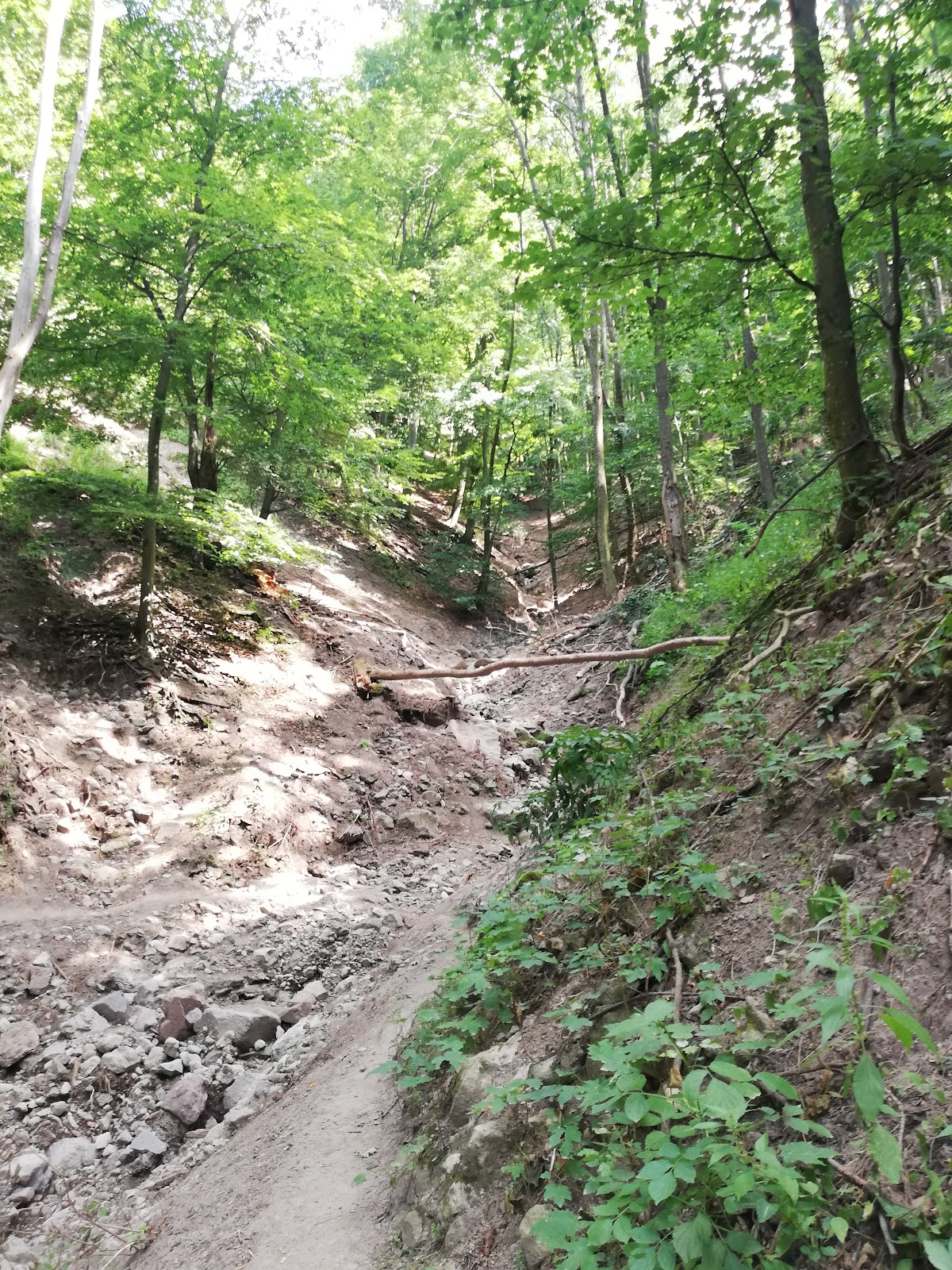 Spartacus hiking trail