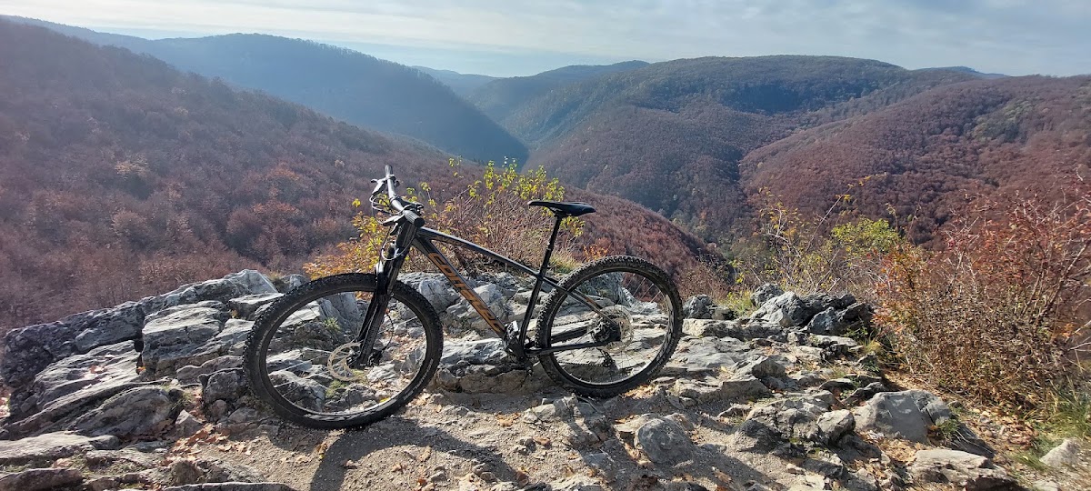 Fehérkőlápa