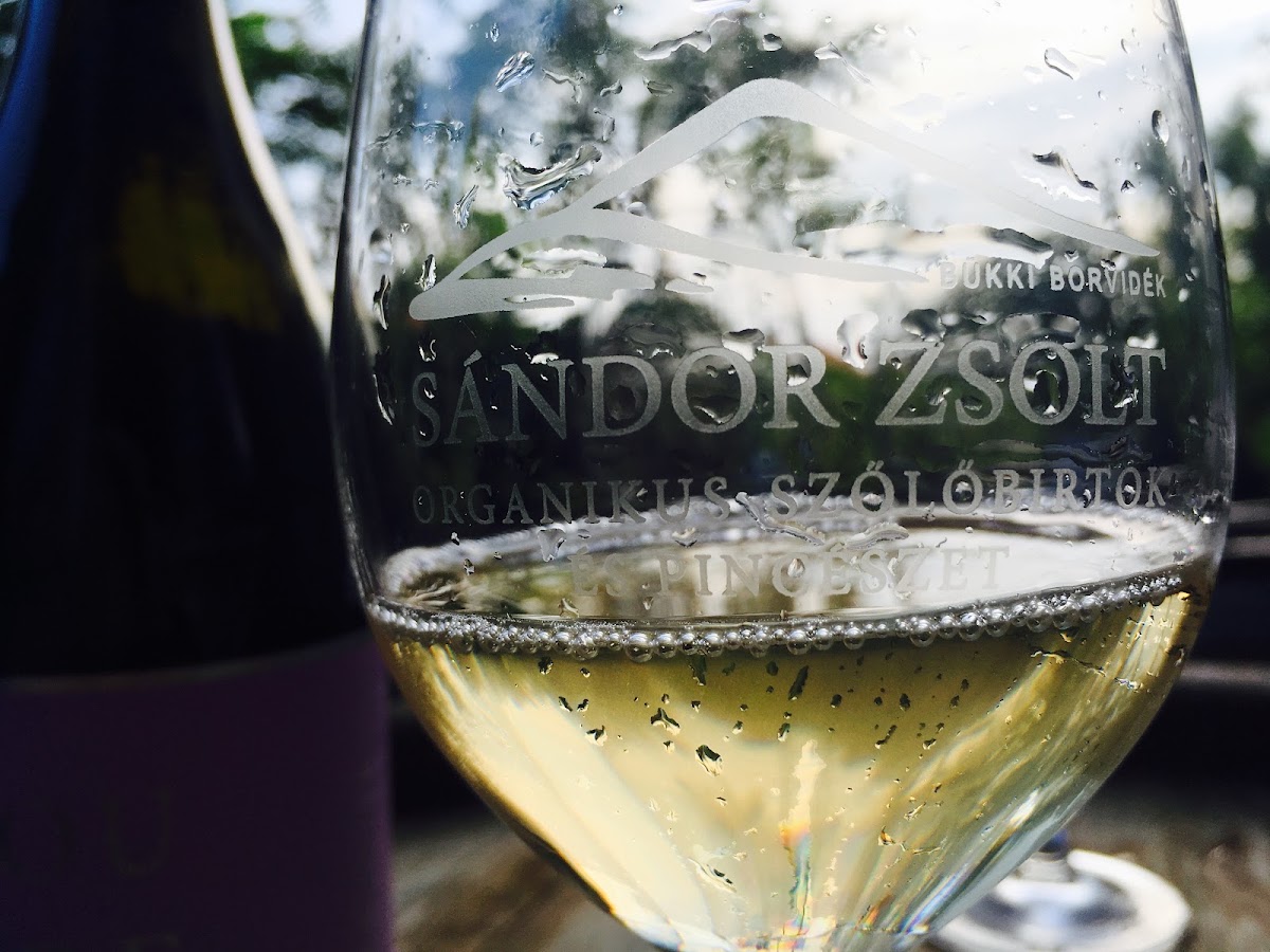 Sándor Zsolt Organic Wines