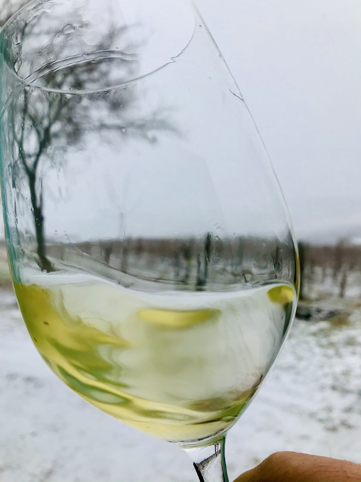 Sándor Zsolt Organic Wines