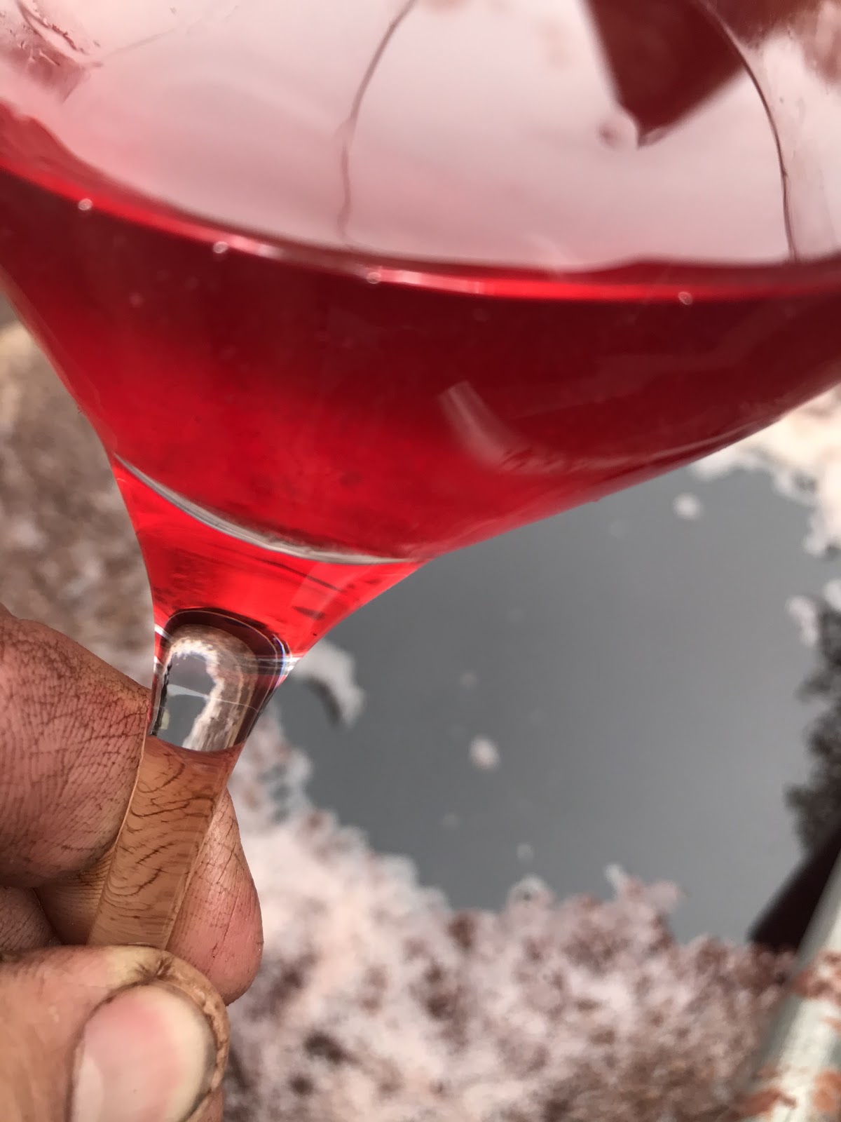 Sándor Zsolt Organic Wines