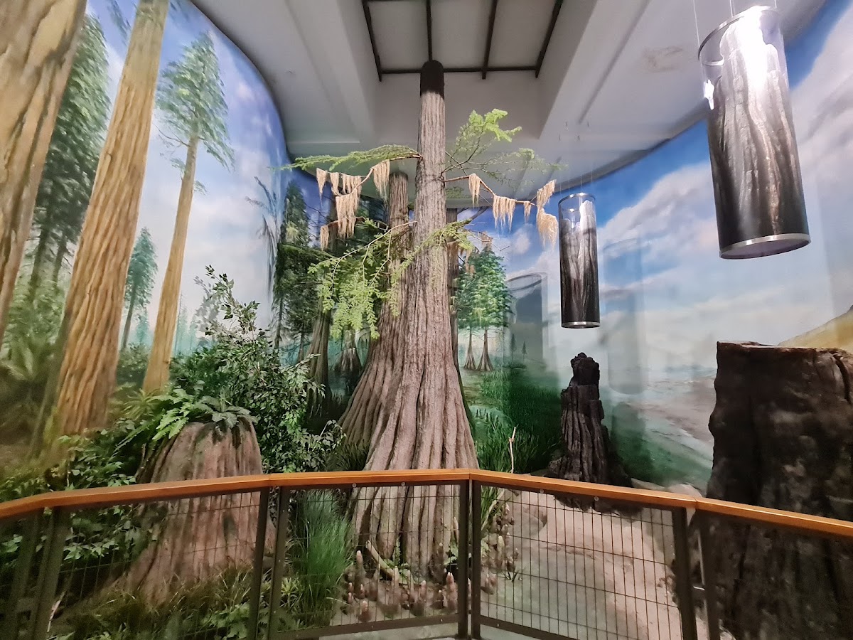 Pannon Sea Museum