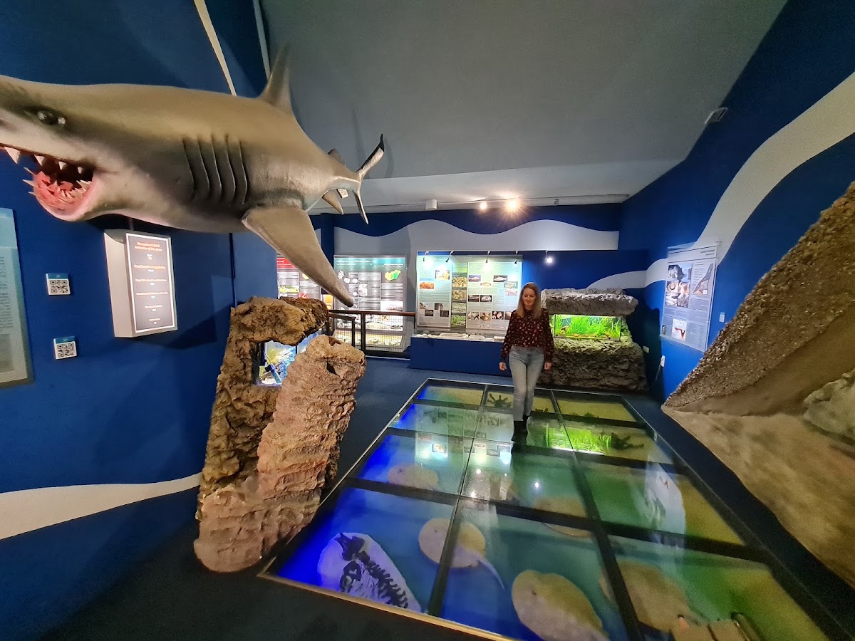 Pannon Sea Museum
