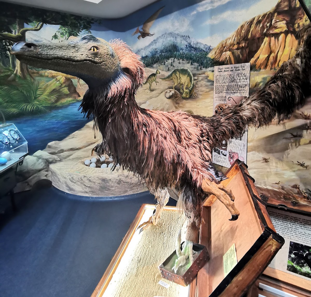 Pannon Sea Museum