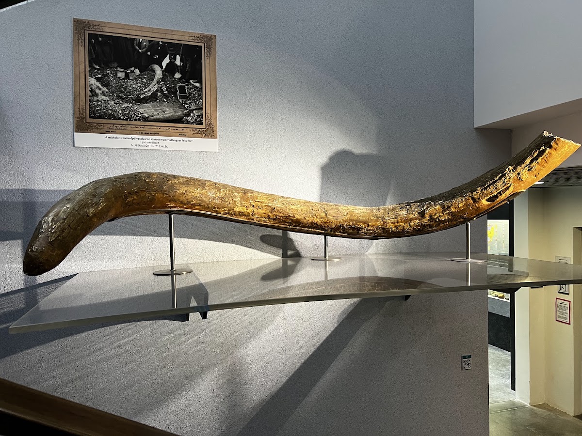Pannon Sea Museum