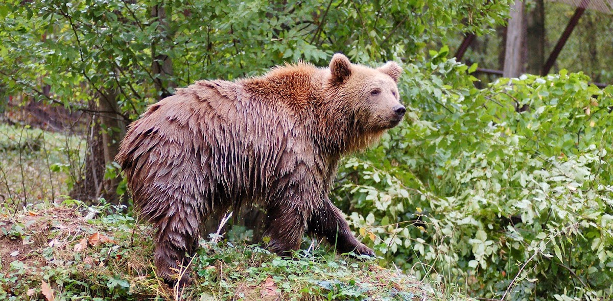 Miskolc Zoo
