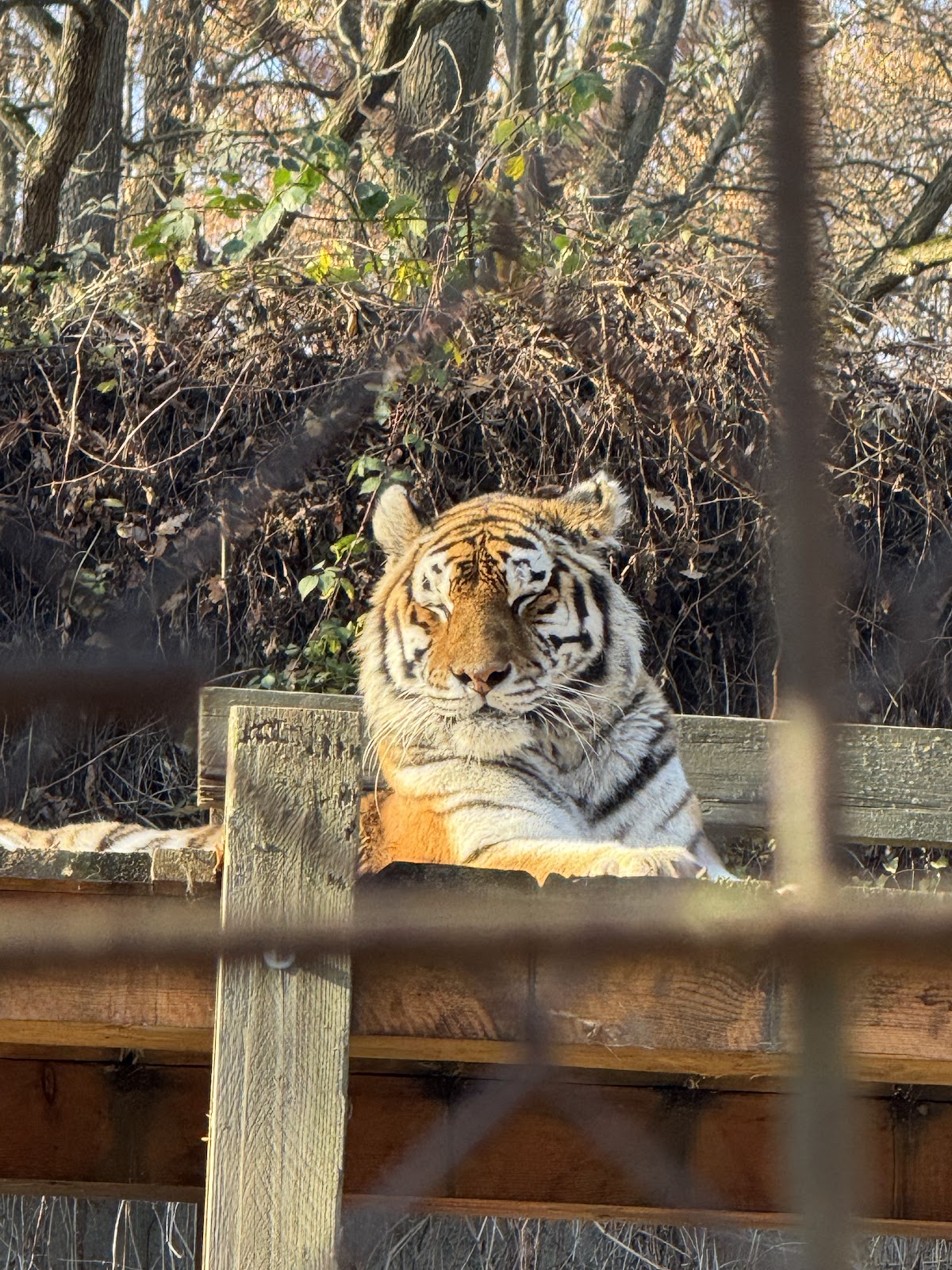 Miskolc Zoo