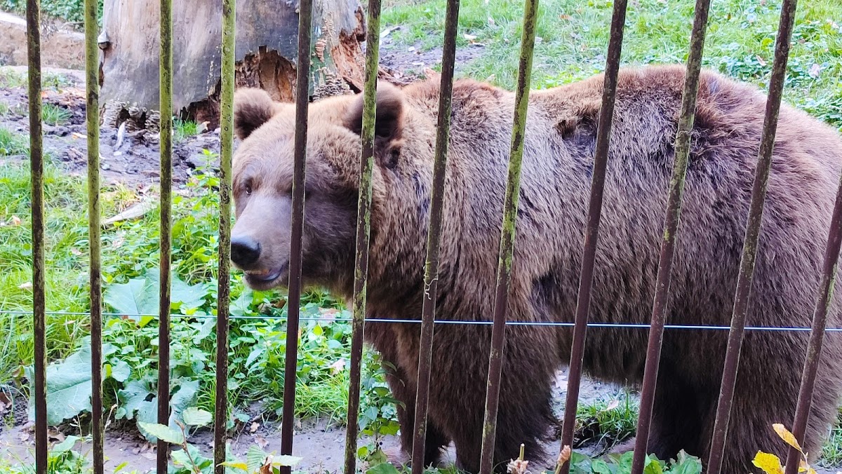 Miskolc Zoo