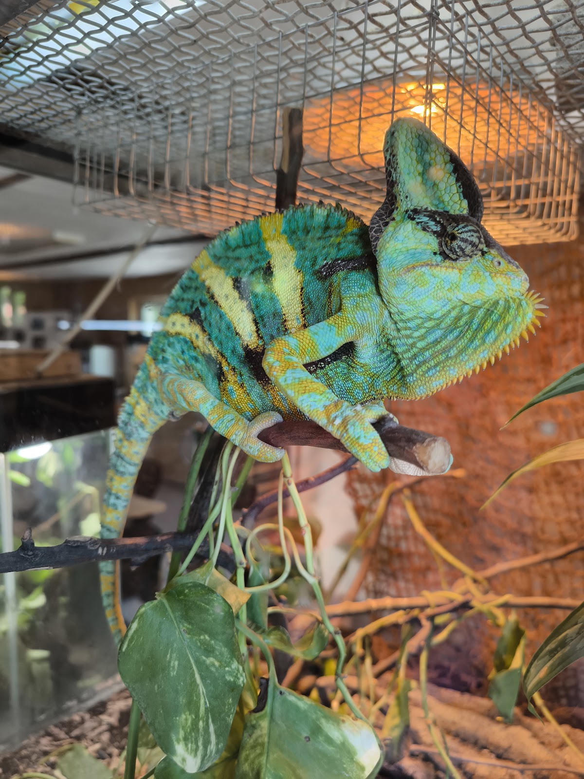 Miskolc Zoo