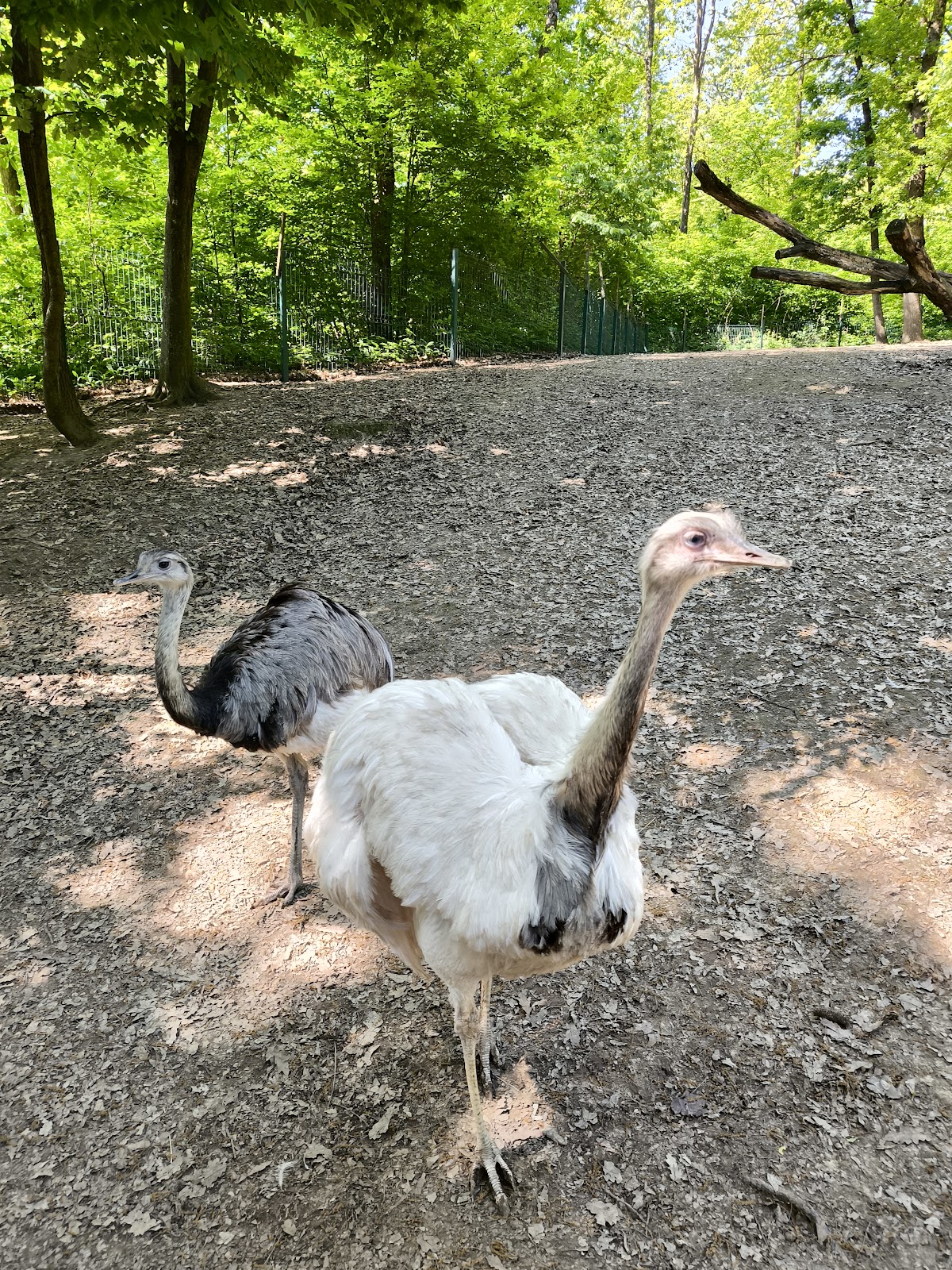 Miskolc Zoo