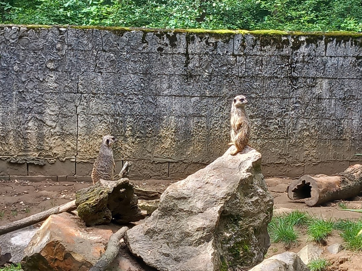 Miskolc Zoo