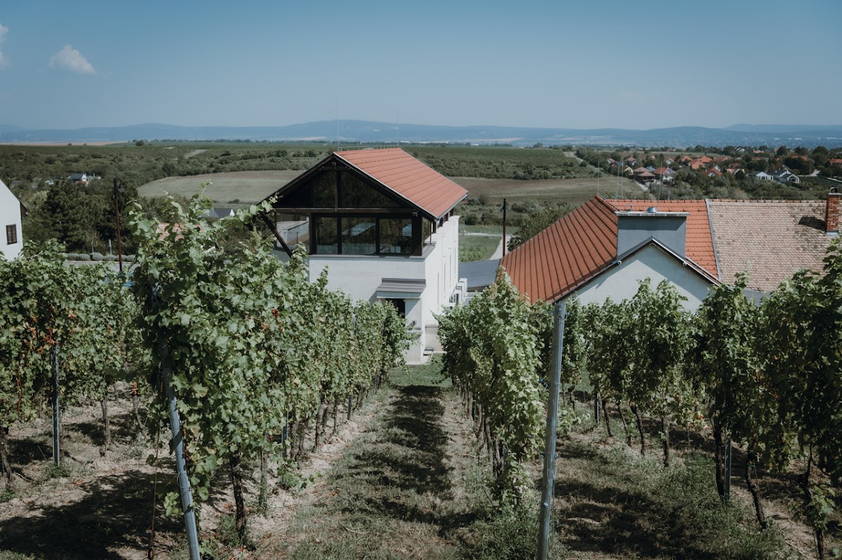 Rókusfalvy Estate