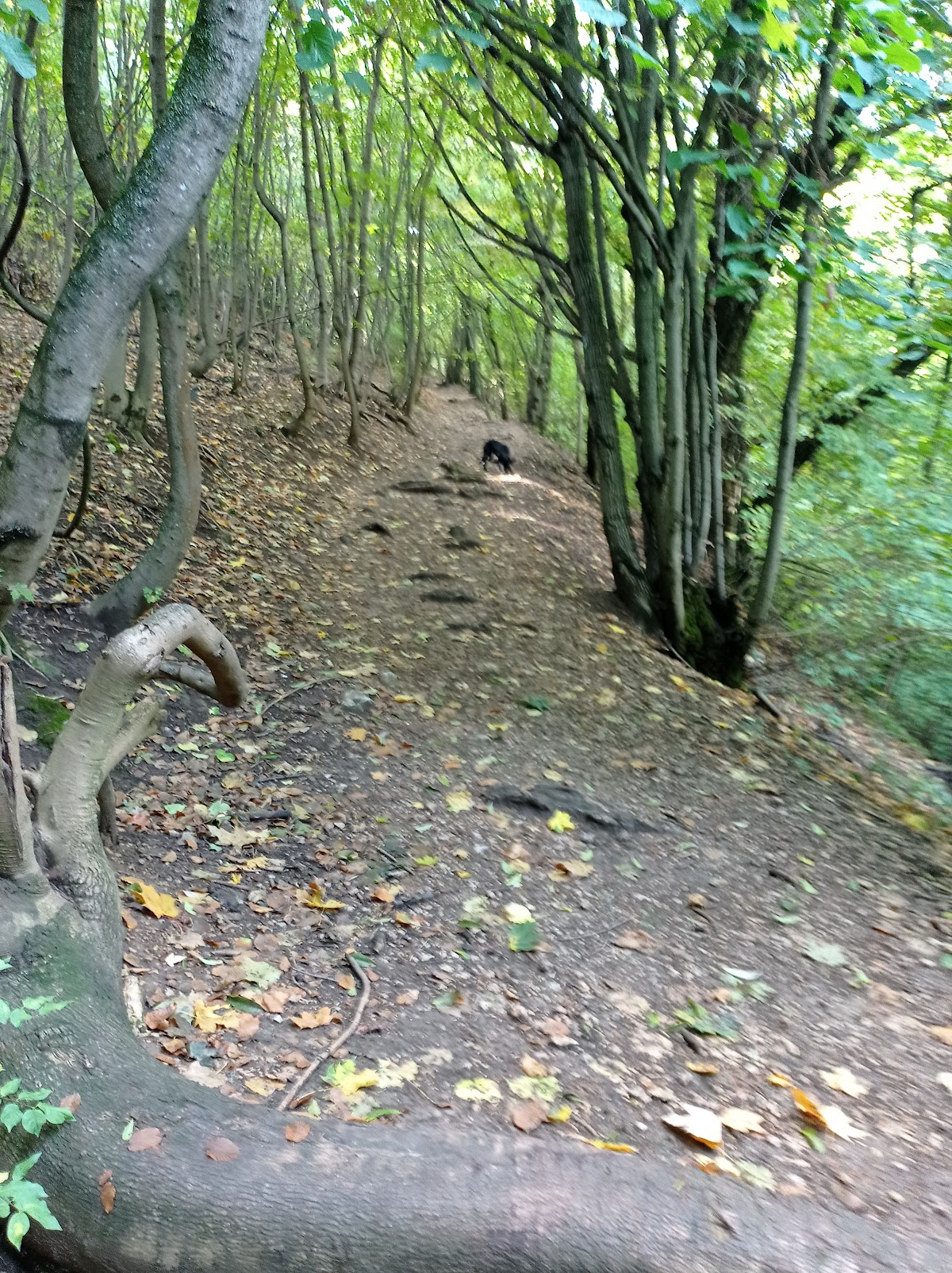 'Zöld' keresztes turista útvonal bejàrata