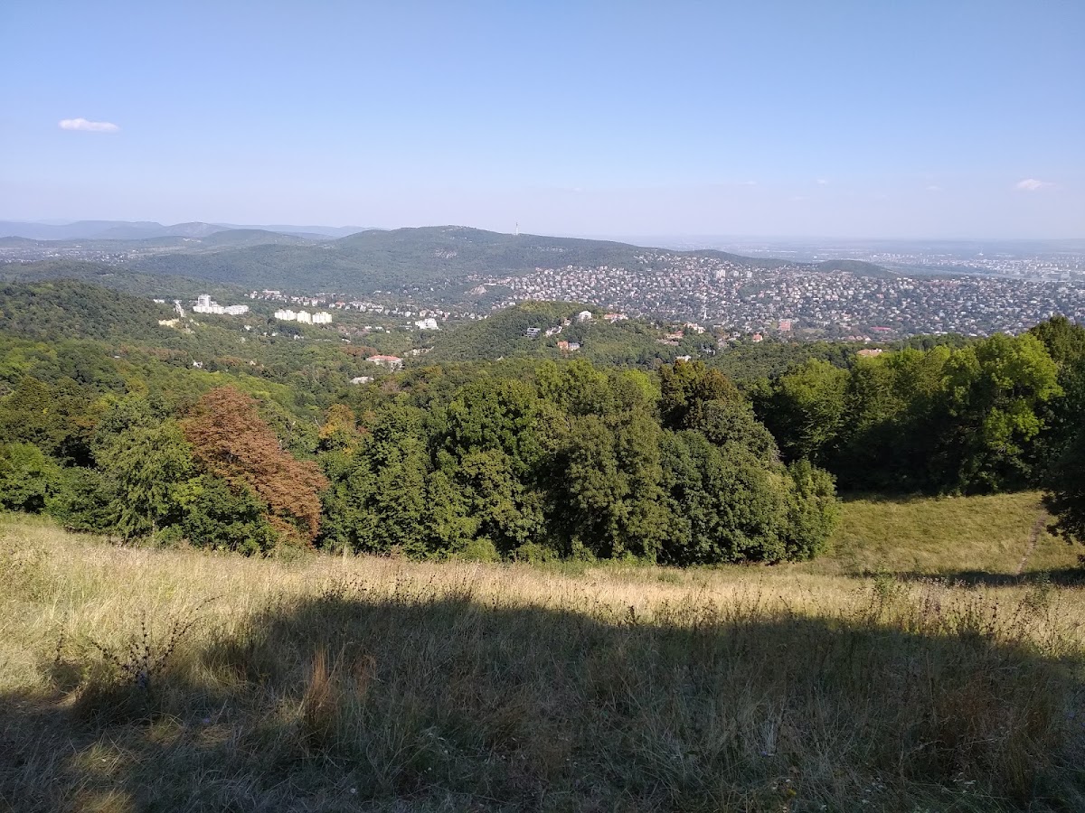 Normafa