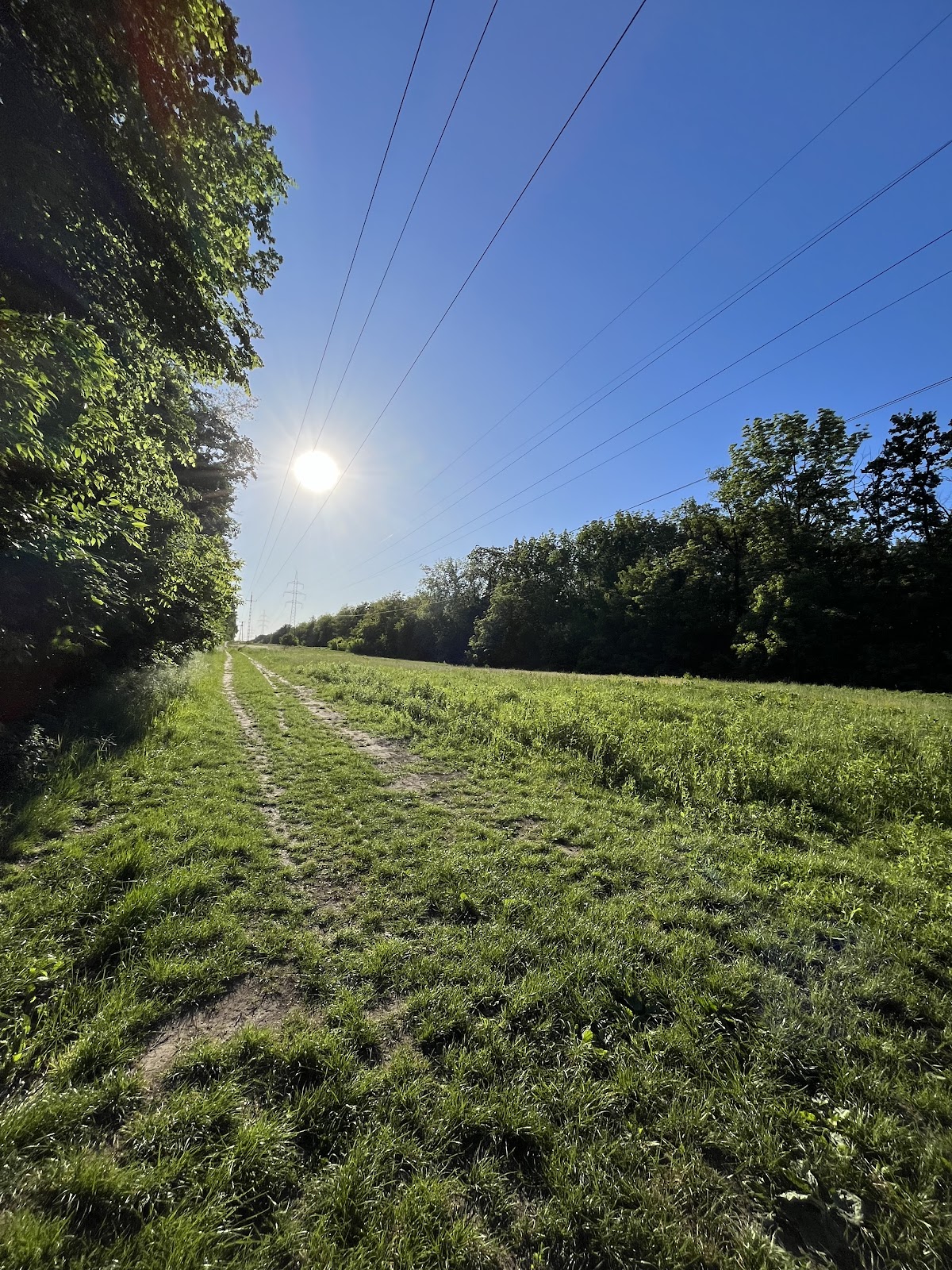 Path to Pallag