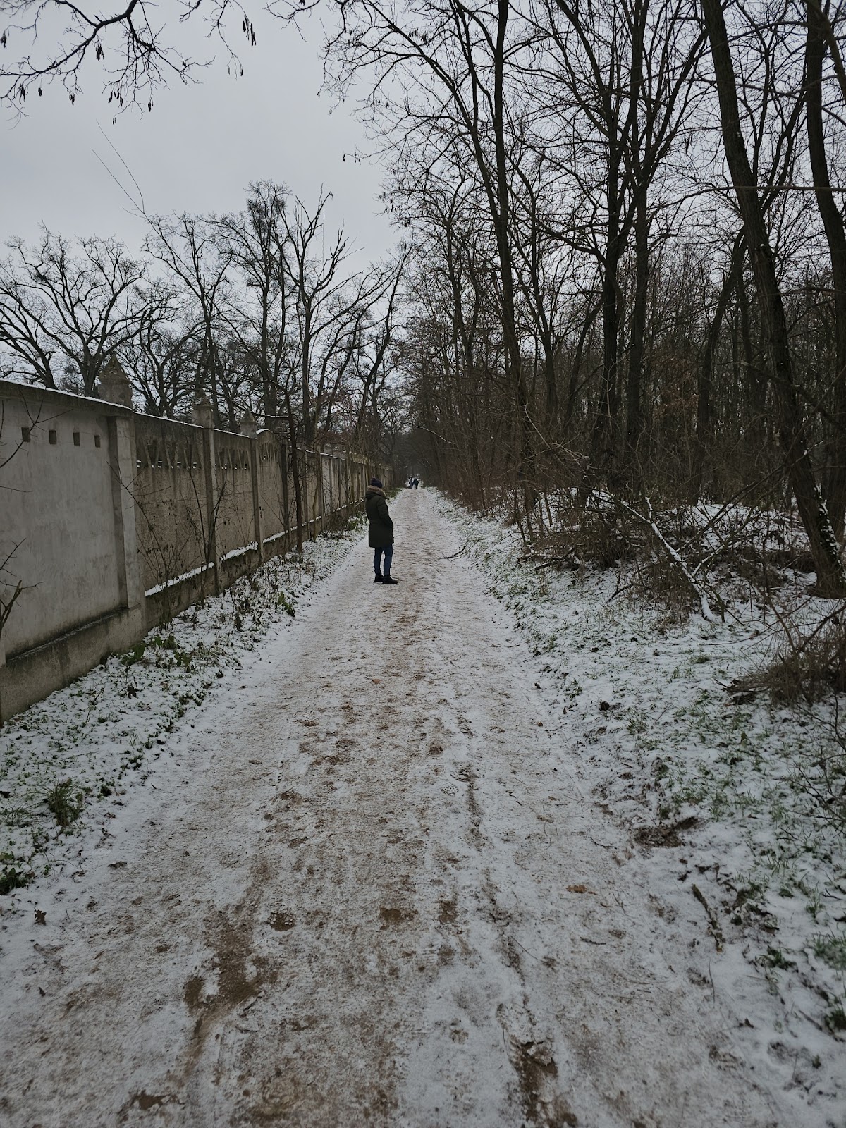 Path to Pallag