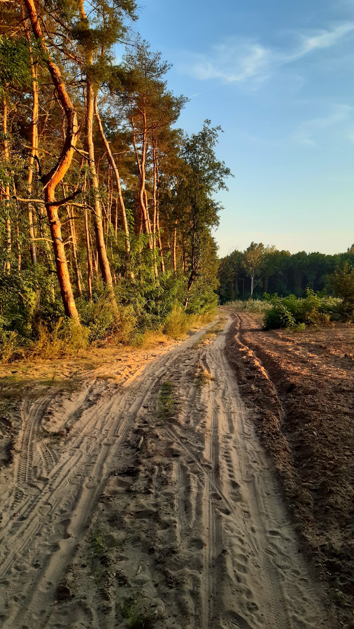 S. turistajel (sárga), Kartács u.