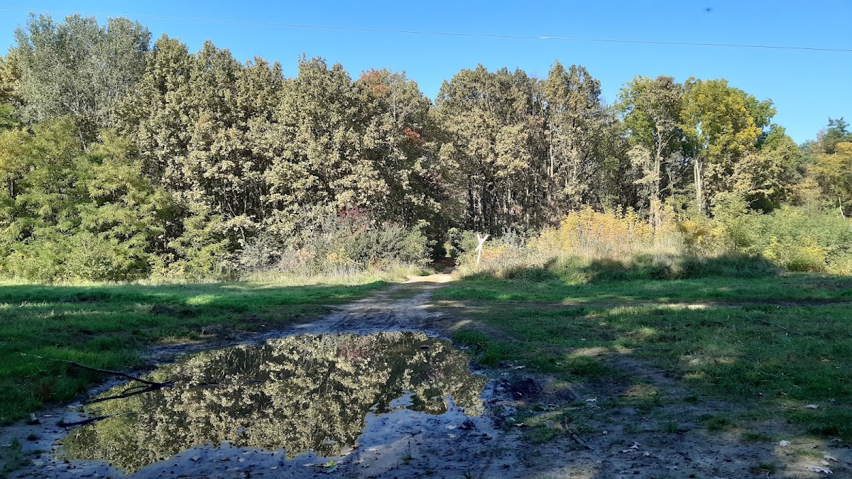 S. turistajel (sárga), Kartács u.