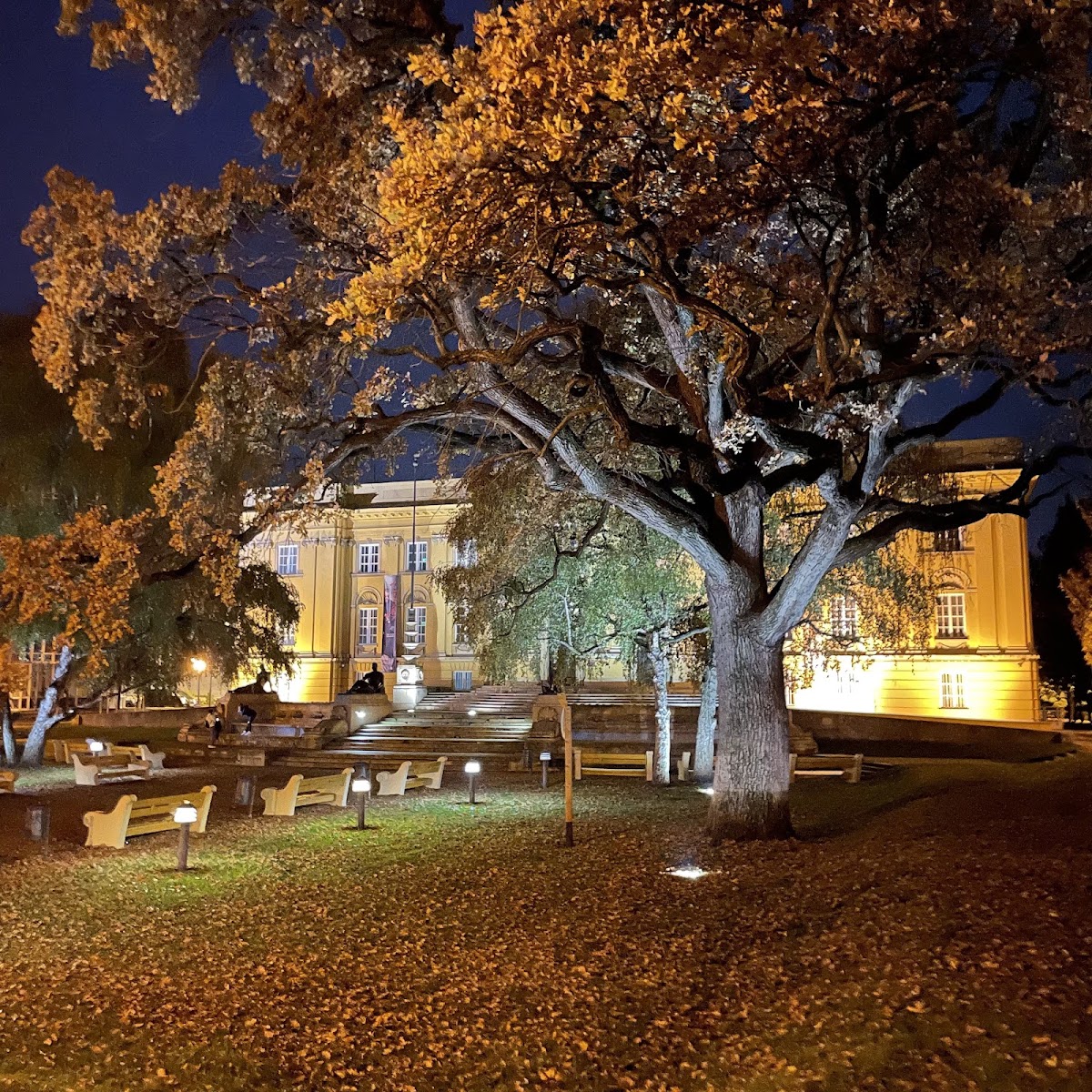 Múzeum park