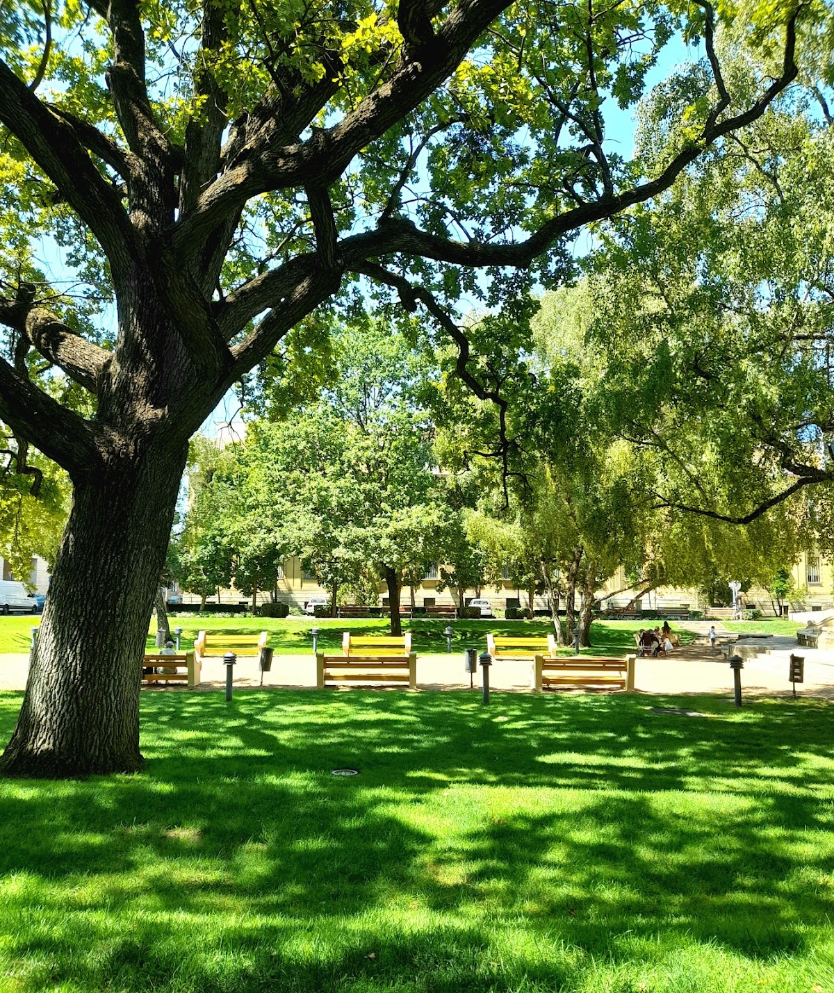 Múzeum park