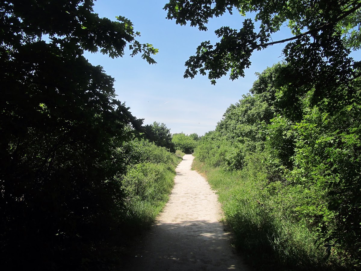 Hiking way