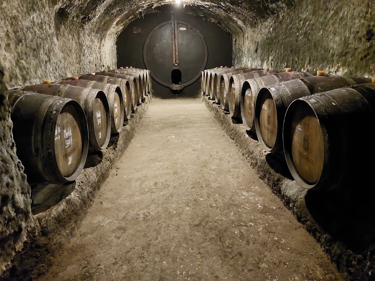 Thummerer Cellar