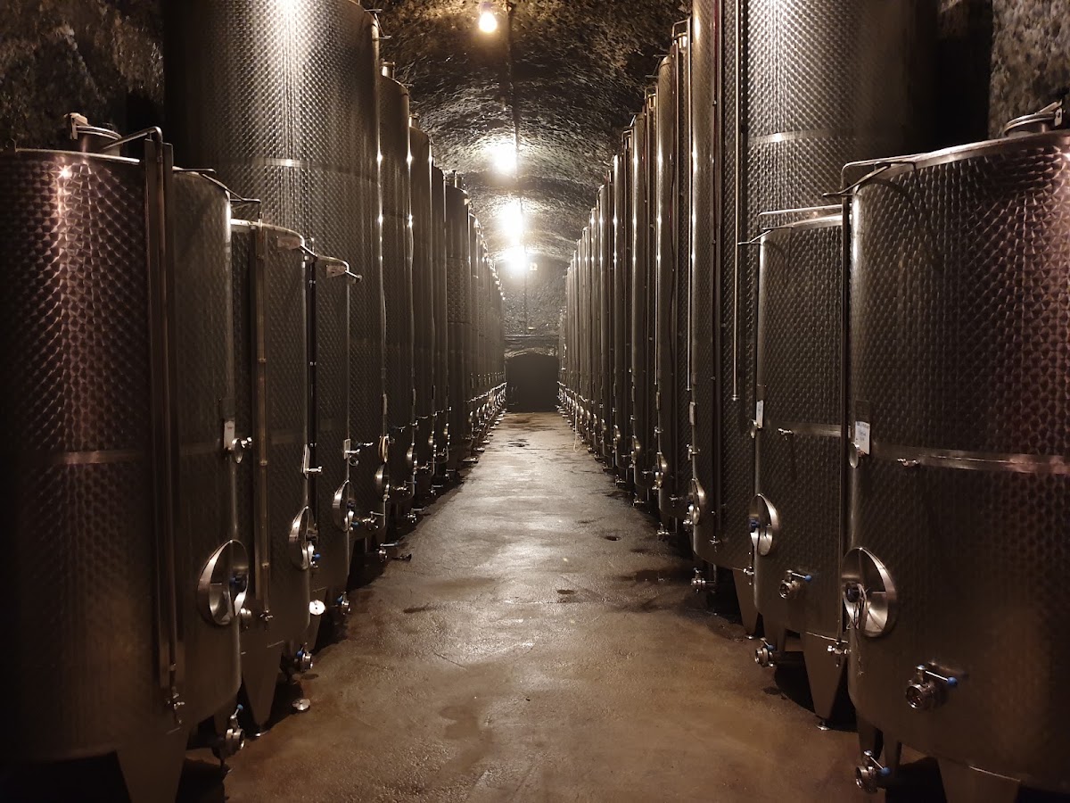 Thummerer Cellar
