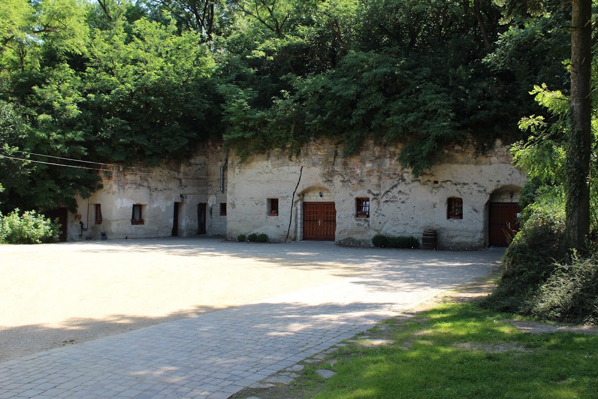 Thummerer Cellar