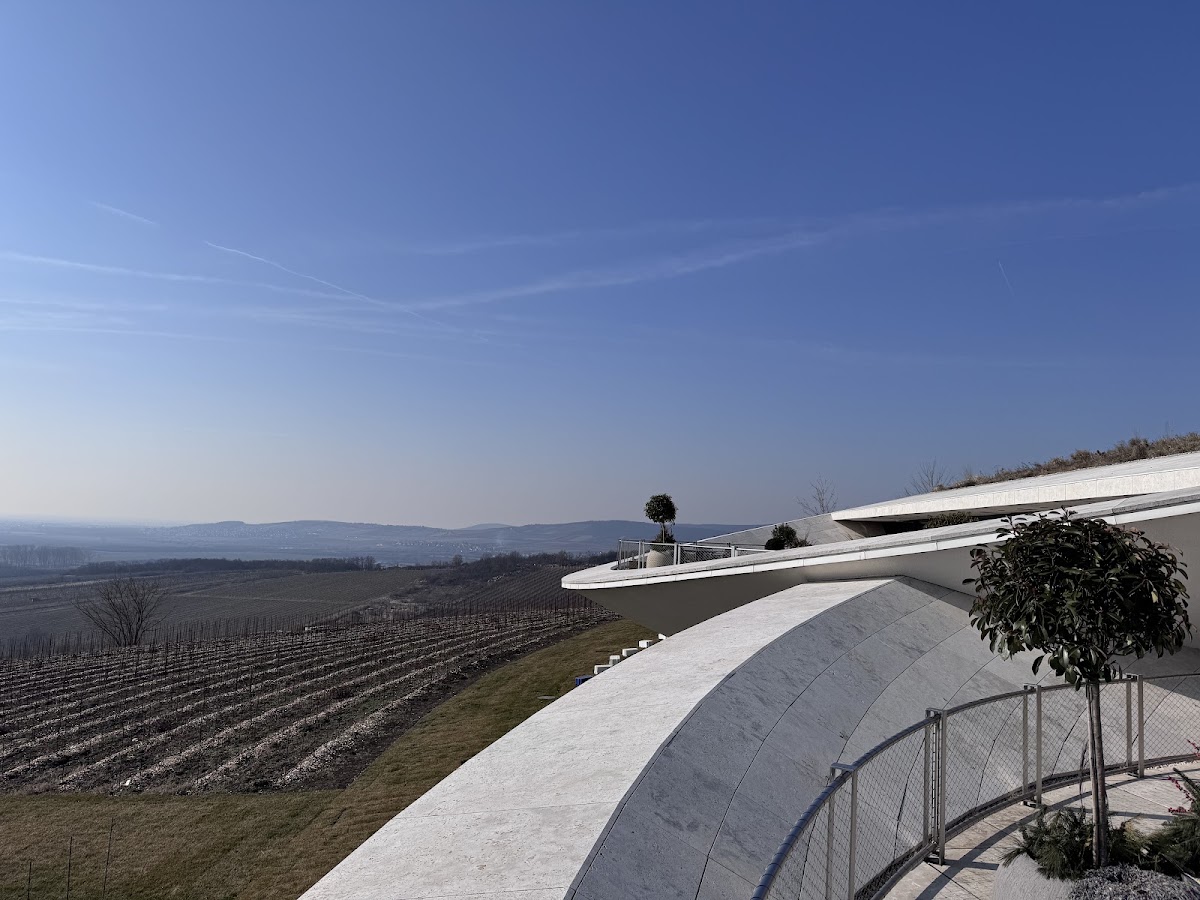 Sauska Tokaj