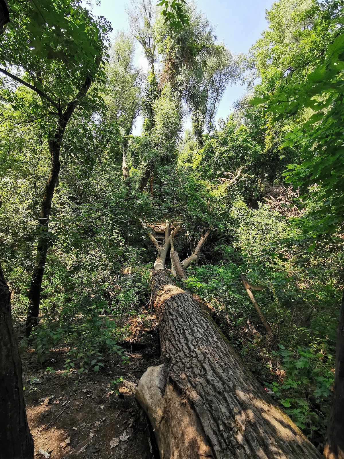 Gergő Parklands