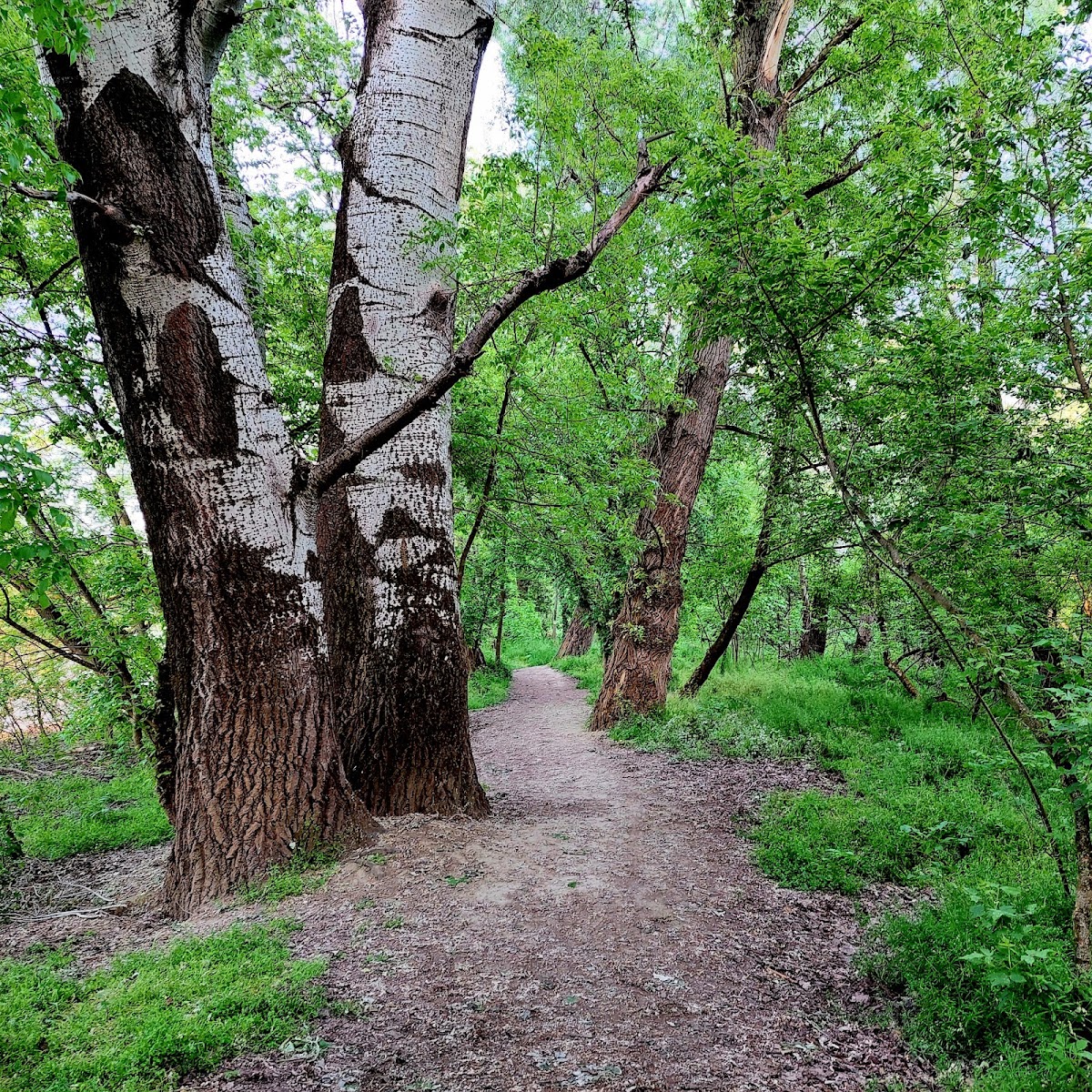 Gergő Parklands