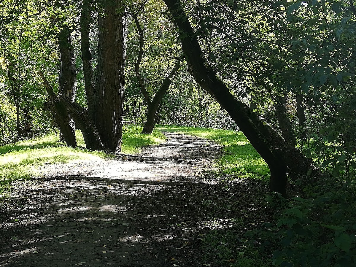 Gergő Parklands