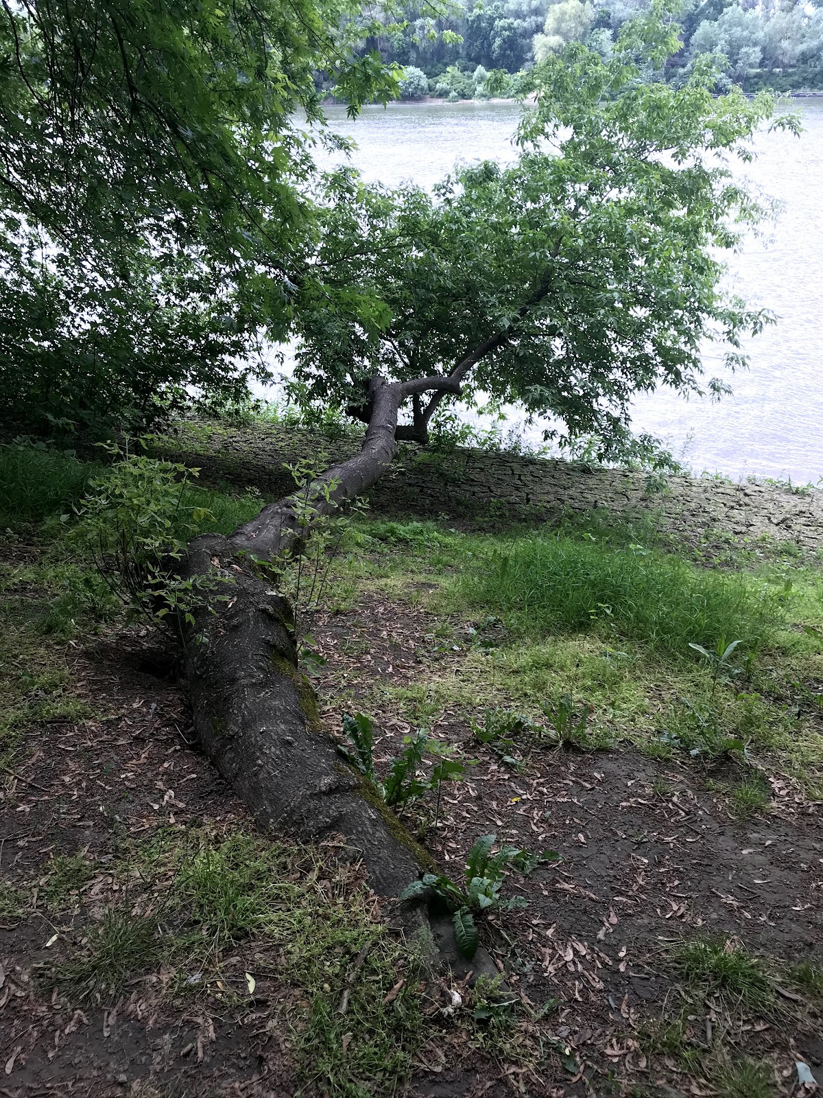 Gergő Parklands